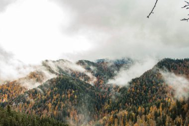 Yedigoller Milli Parkı, Bolu