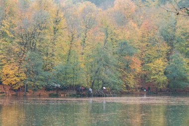 Yedigoller Milli Parkı, Bolu