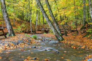 Yedigoller Milli Parkı, Bolu