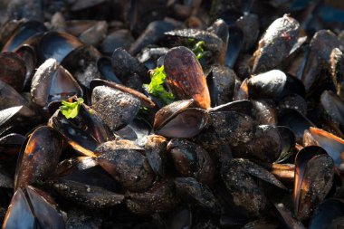 Göz şeklinde muska - mavi camdan ve nazar Göreme Milli Parkı, Kapadokya içinde karşı koruma inanılan Nazars, eski ağaç dalları süslenmiş.