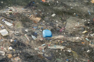 Göz şeklinde muska - mavi camdan ve nazar Göreme Milli Parkı, Kapadokya içinde karşı koruma inanılan Nazars, eski ağaç dalları süslenmiş.