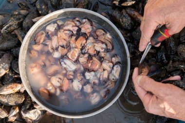 Göz şeklinde muska - mavi camdan ve nazar Göreme Milli Parkı, Kapadokya içinde karşı koruma inanılan Nazars, eski ağaç dalları süslenmiş.