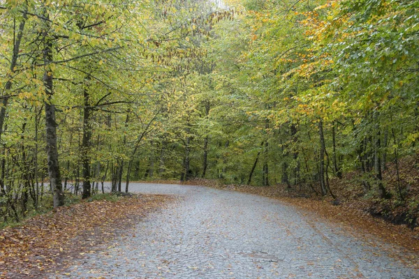 Yedigoller National Park Bolu — стокове фото