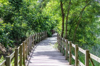 Acarlar Sel Ovası Ormanı (Türkçe: Acarlar Golu Longozu), Sakarya ilinin Sakarya ilçesinde yer alan bir sel yatağı ormanı..
