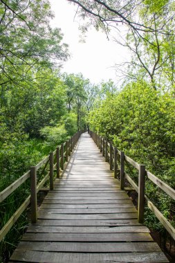 Acarlar Sel Ovası Ormanı (Türkçe: Acarlar Golu Longozu), Sakarya ilinin Sakarya ilçesinde yer alan bir sel yatağı ormanı..