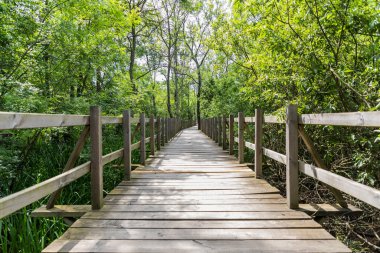 Acarlar Sel Ovası Ormanı (Türkçe: Acarlar Golu Longozu), Sakarya ilinin Sakarya ilçesinde yer alan bir sel yatağı ormanı..