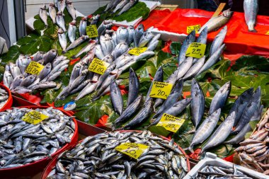 İstanbul 'da balık pazarı, hindi