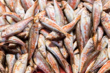 İstanbul 'da balık pazarı, hindi