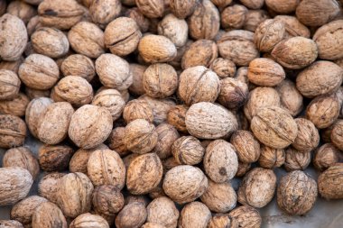 Kurutmak için yere serilmiş taze kabuklu organik cevizler.