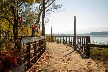 Gölün kıyısındaki ağaçlarda romantik ahşap patika