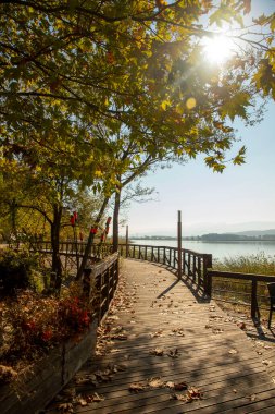 Gölün kıyısındaki ağaçlarda romantik ahşap patika