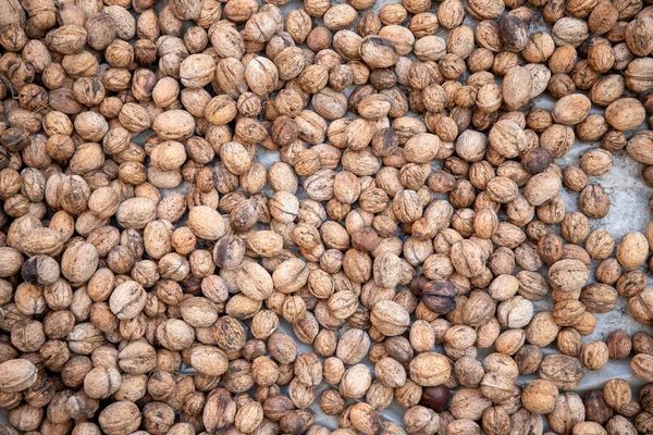 Organic Fresh Walnuts Shells Laid Floor Dry Stock Photo