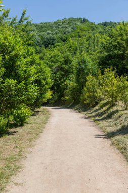 Kocaeli 'nin Yuvacik Baraj Gölü manzarası. Yapay göl, Kocaeli 'nin İzmit kenti için su sağlar..