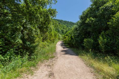 Kocaeli 'nin Yuvacik Baraj Gölü manzarası. Yapay göl, Kocaeli 'nin İzmit kenti için su sağlar..