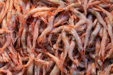 Taze balıklar pazarda satılır.