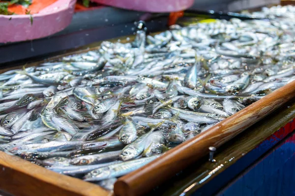 Les Poissons Frais Sont Vendus Comptoir Marché — Photo