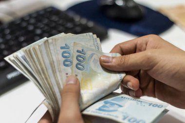 Türk Lirası, Türk Parası ( Türk Lirası)