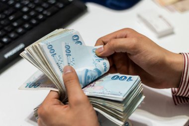 Türk Lirası, Türk Parası ( Türk Lirası)