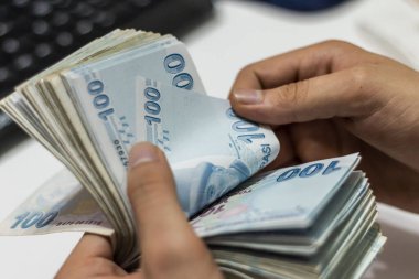 Türk Lirası, Türk Parası ( Türk Lirası)