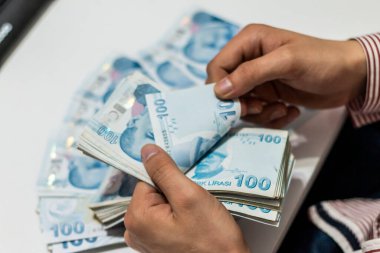 Türk Lirası, Türk Parası ( Türk Lirası)