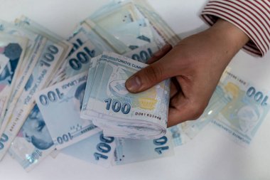 Türk Lirası, Türk Parası ( Türk Lirası)