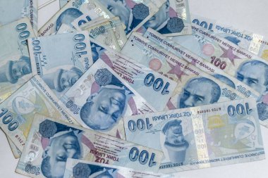 Türk Lirası, Türk Parası ( Türk Lirası)