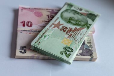 Türk Lirası, Türk Parası ( Türk Lirası)