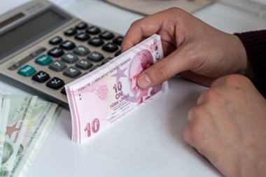 Türk Lirası, Türk Parası ( Türk Lirası)