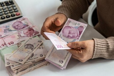 Türk Lirası, Türk Parası ( Türk Lirası)