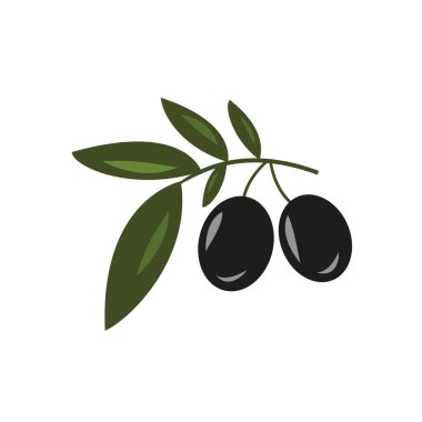 Zeytinyağı. Logo. Vektör illüstrasyon. Beyaz arka planda siyah ve yeşil zeytin