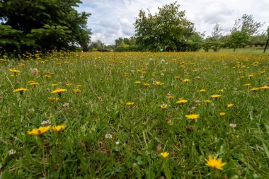 İSTANBUL, TURKEY, 18 Haziran 2021, Otagtepe 'den İstanbul Boğazı. İstanbul, Türkiye