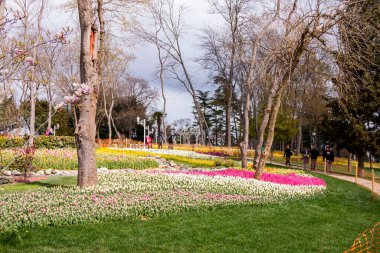 Emirgan Korusu ve çok sayıda çiçek türü, 2021-31 Mart, İstanbul, Türkiye