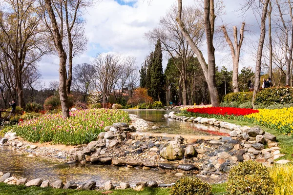 Emirgan Grove Many Flower Species 2021 March Istanbul Turkey — 图库照片#