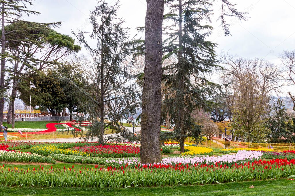 Emirgan Grove with many flower species, 2021-31 March, Istanbul, Turkey