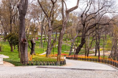 Emirgan Korusu ve çok sayıda çiçek türü, 2021-31 Mart, İstanbul, Türkiye