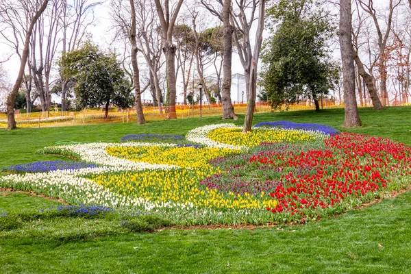 Emirgan Grove Many Flower Species 2021 March Istanbul Turkey — 图库照片#