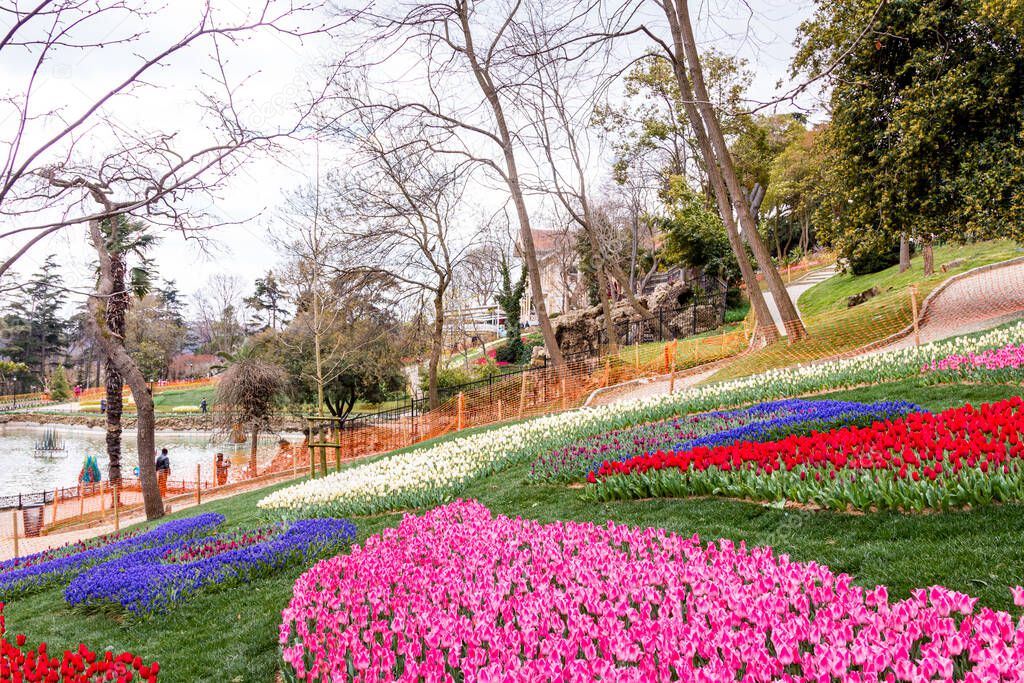 Emirgan Grove with many flower species, 2021-31 March, Istanbul, Turkey