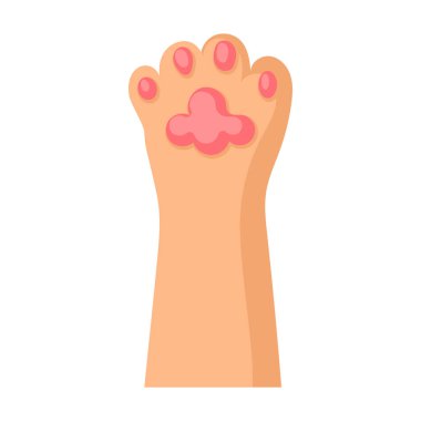 Kedi patisi vektör simgesi. Çizgi film vektör simgesi beyaz arka plan kedi patisi üzerinde izole edildi.