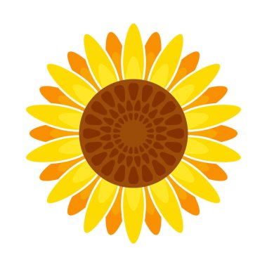 Ayçiçeği vektör simgesi. Beyaz arkaplan ayçiçeği üzerinde izole edilmiş çizgi film vektör simgesi.