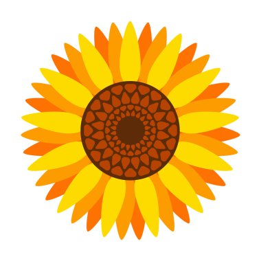 Ayçiçeği vektör simgesi. Beyaz arkaplan ayçiçeği üzerinde izole edilmiş çizgi film vektör simgesi.