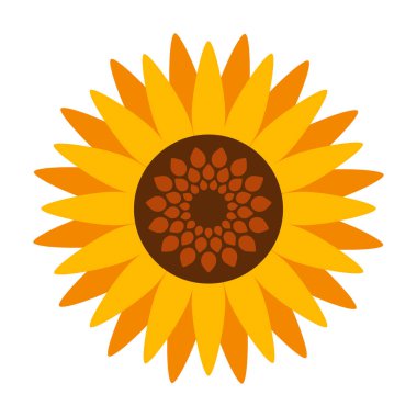 Ayçiçeği vektör simgesi. Beyaz arkaplan ayçiçeği üzerinde izole edilmiş çizgi film vektör simgesi.