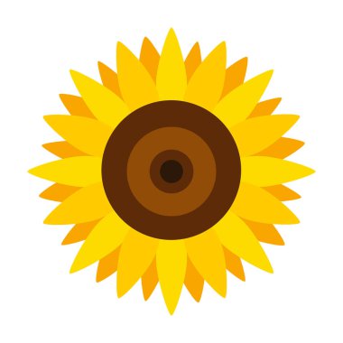 Ayçiçeği vektör simgesi. Beyaz arkaplan ayçiçeği üzerinde izole edilmiş çizgi film vektör simgesi.