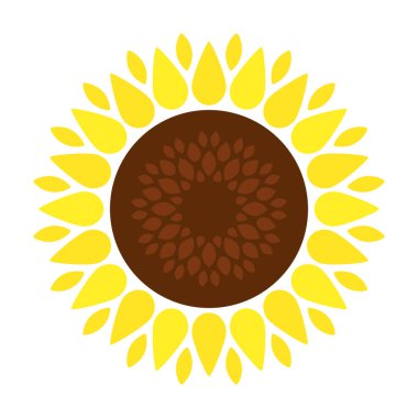 Ayçiçeği vektör simgesi. Beyaz arkaplan ayçiçeği üzerinde izole edilmiş çizgi film vektör simgesi.