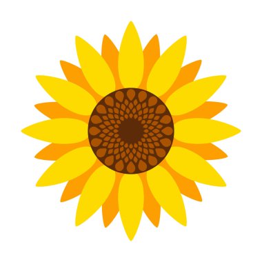 Ayçiçeği vektör simgesi. Beyaz arkaplan ayçiçeği üzerinde izole edilmiş çizgi film vektör simgesi.