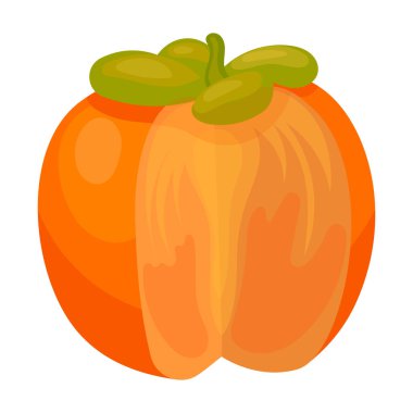 Hurma vektör simgesi parçası. Çizgi film vektör simgesi beyaz arkaplan parçasında izole edildi.