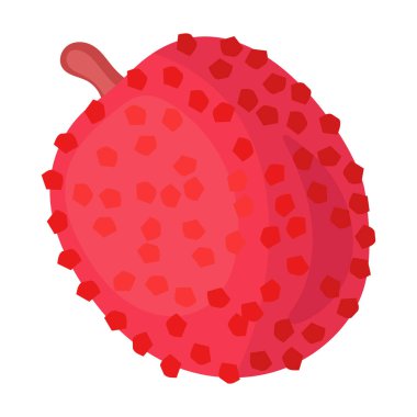 Lychee vektör simgesi. Çizgi film vektör simgesi beyaz arkaplan liçi üzerinde izole edildi.