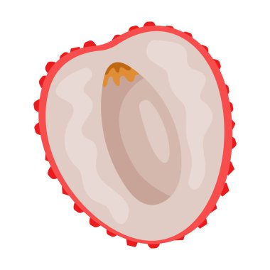 Lychee vektör simgesi. Çizgi film vektör simgesi beyaz arkaplan liçi üzerinde izole edildi.