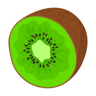 Kivi vektör simgesi. Çizgi film vektör simgesi beyaz arkaplan kivisinde izole edildi.