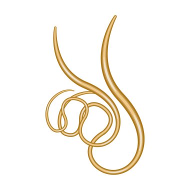 Parazit vektör simgesi. Beyaz arkaplan parazitleri üzerinde izole edilmiş çizgi film vektör simgesi..