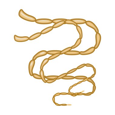 Parazit vektör simgesi. Beyaz arkaplan parazitleri üzerinde izole edilmiş çizgi film vektör simgesi..